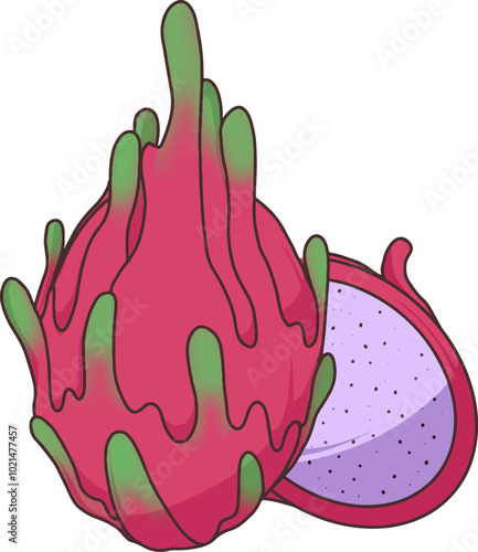 dragon fruit vector white background