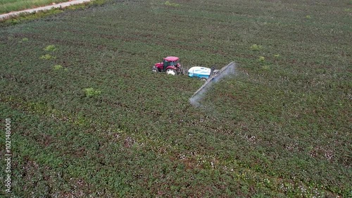 Aerial View of Tractor Spraying Defoliant on Cotton Field