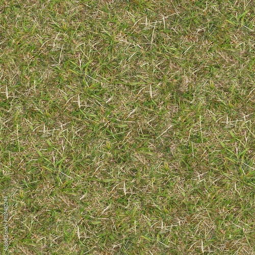 Seamless texture of the grass surface