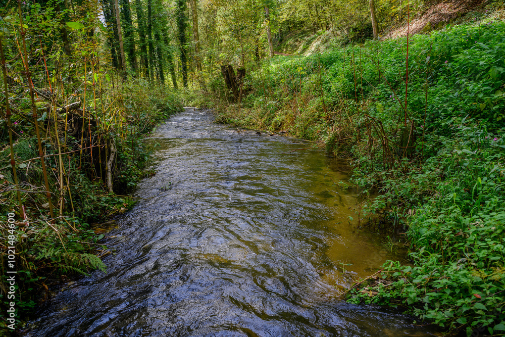 Ein kleiner Bach im Wald Ein kleiner Bach im Wald