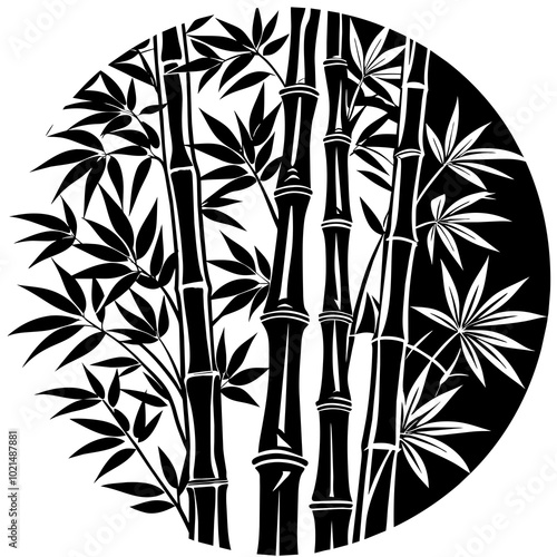 black and white bamboo