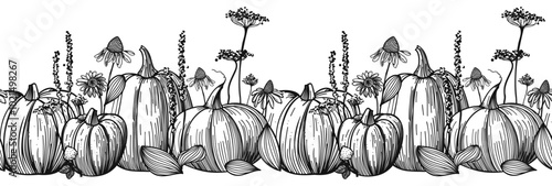 Pumpkin vegetable black and white engraving vector illustration. Seamless border