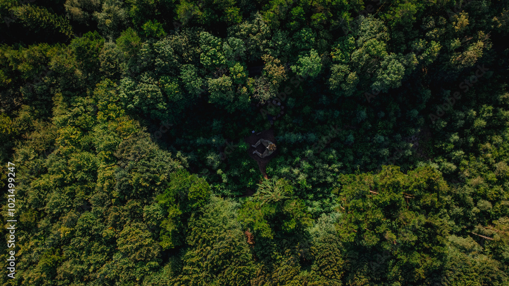Troll forêt drone Troll forêt drone