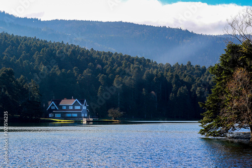 Lakeside House in the Woods
