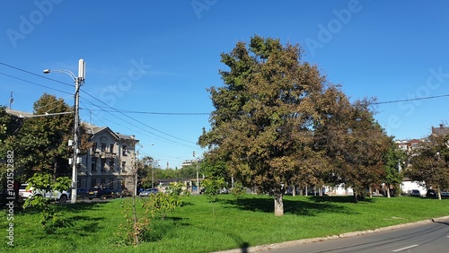 moldova, chisinau, church, animals, cat, red, trees, architecture, arch, grass, road, sidewalk, lamppost, underpass photo