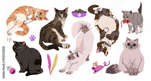 A collection of stickers of cats in various poses. Orange, calico, black cats. Vector isolated on white background.