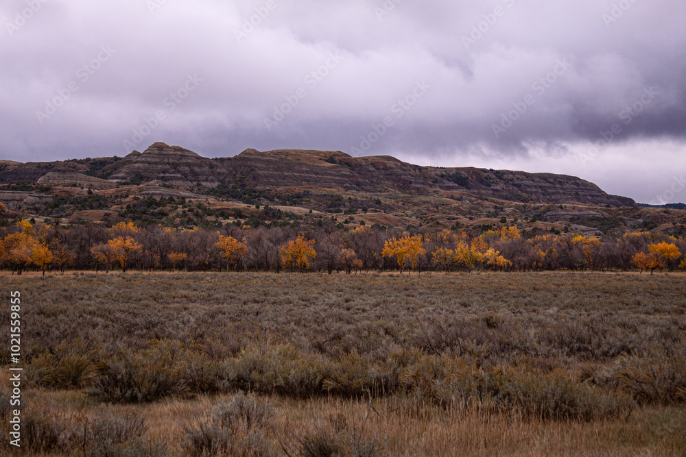 Theodore Roosevelt National Park in Fall 6 Theodore Roosevelt National Park in Fall 6