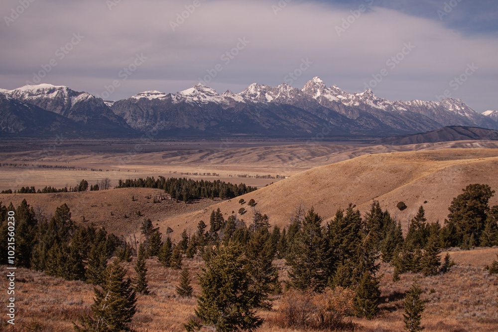 Fototapeta premium Tetons, GTNP 3