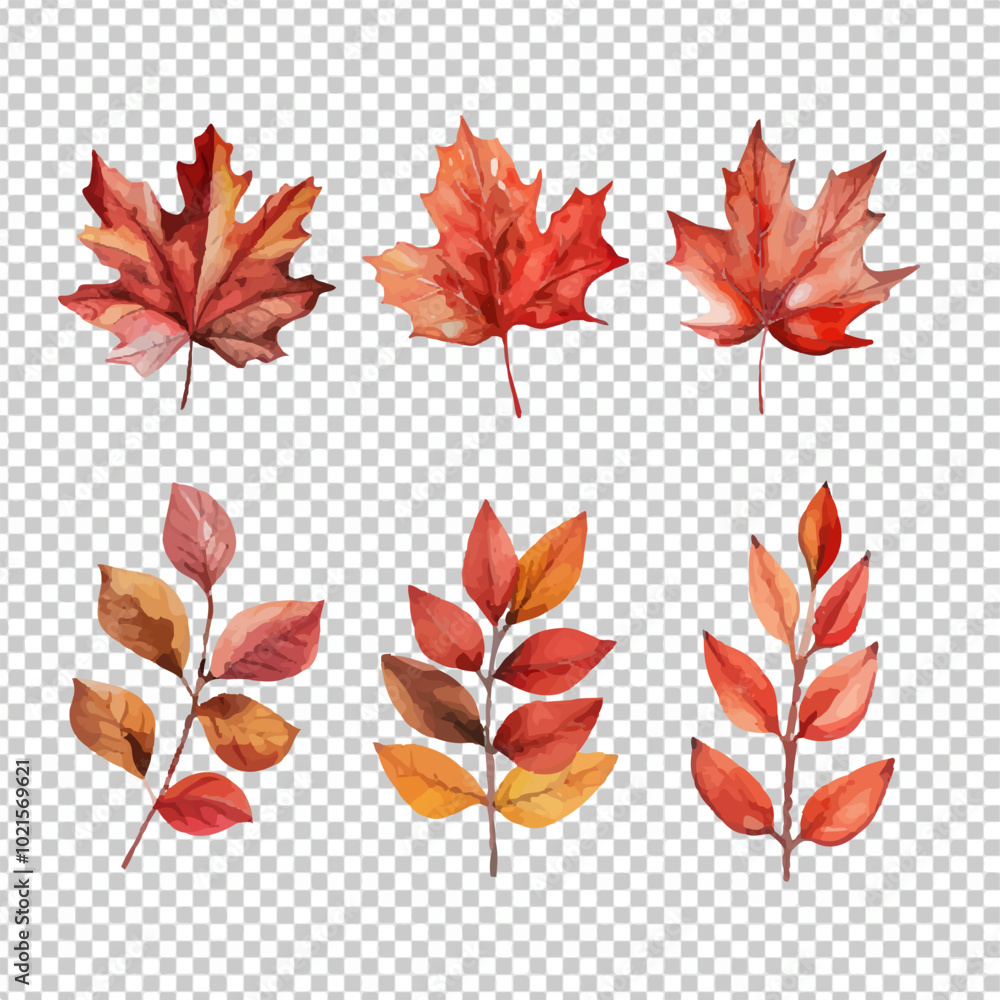 Obraz premium Autumn foliage watercolor collection set, fall leaves, maple leaf. Forest design elements illustration isolated on transparent background
