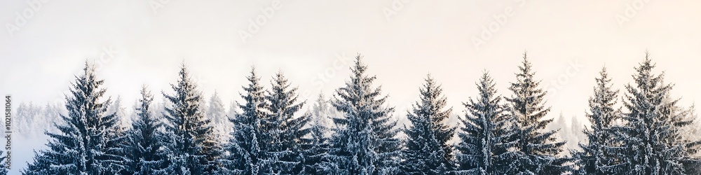 Obraz premium A serene snowy forest with tall pines and a clear sky for text