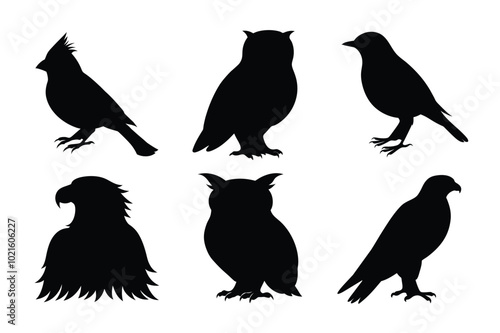 silhouettes of birds photo