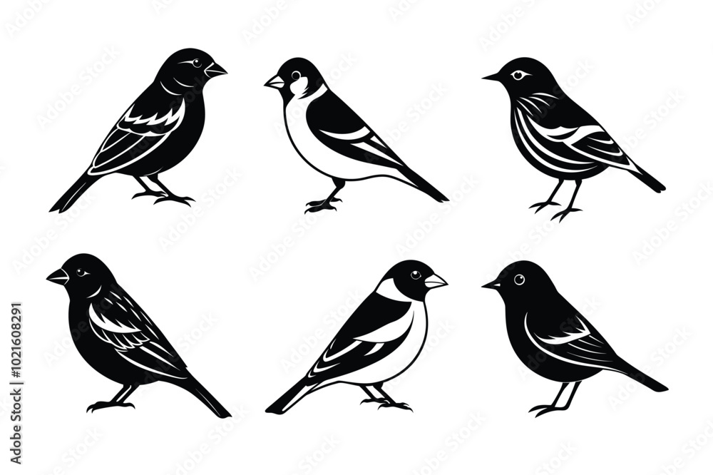 collection of birds silhouette collection of birds silhouette