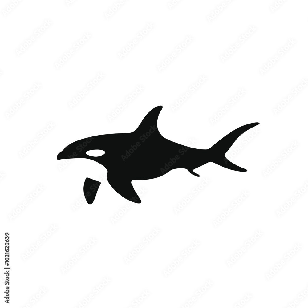 Obraz premium A black and white silhouette of an orca or killer whale swimming 