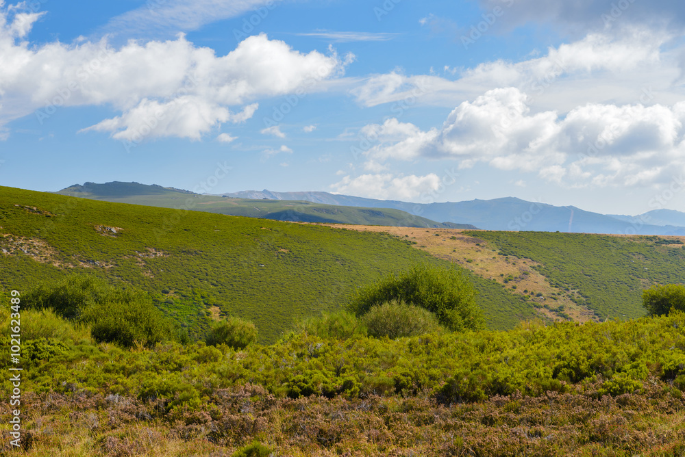 Fototapeta premium green mountains under blue sky with white clouds, beautiful nature landscape