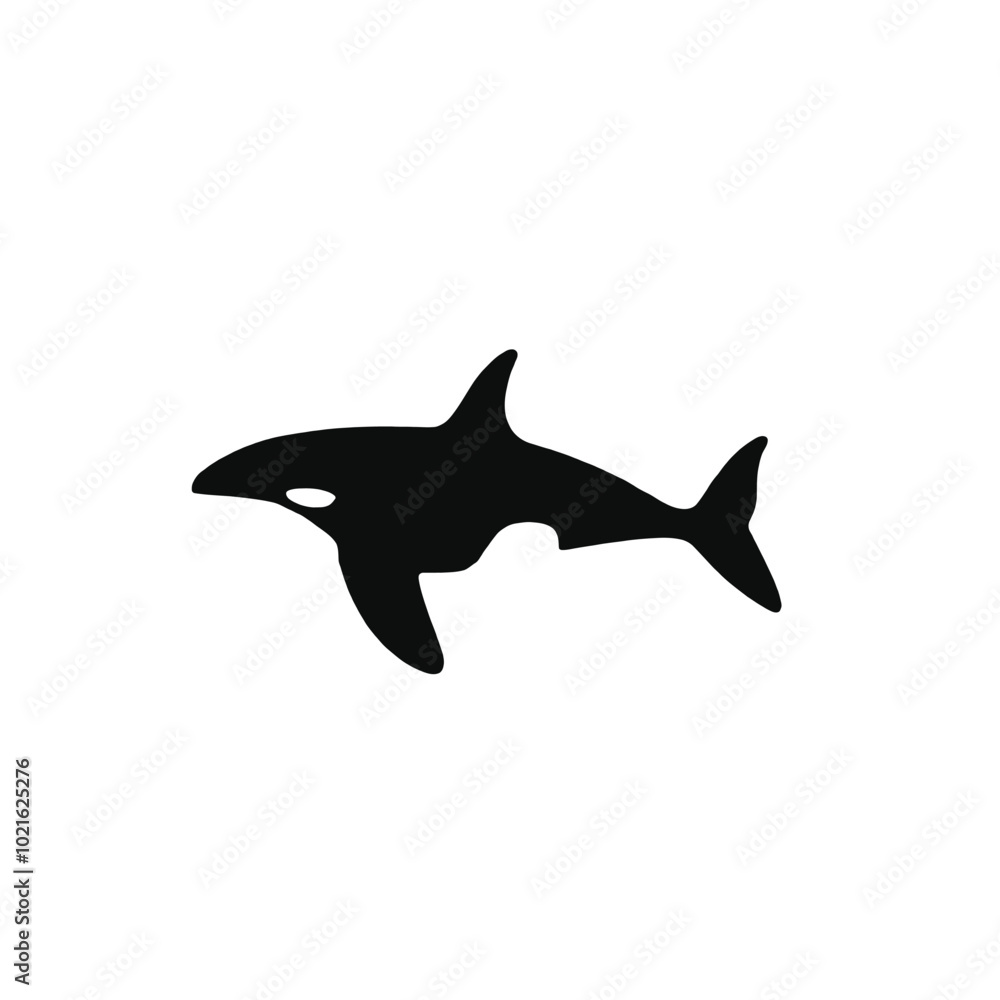 A black and white silhouette of an orca or killer whale swimming A black and white silhouette of an orca or killer whale swimming