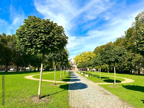 green park for relaxation without people photo