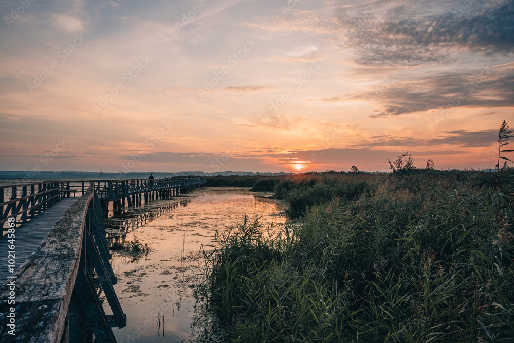 Obraz premium Sonnenaufgang am Federsee in Bad Buchau, Oberschwaben – goldenes Licht über Wasser und Schilfwiesen. Der Federsee, einer der größten Moorseen Süddeutschlands, ist ein wertvolles Naturparadies.