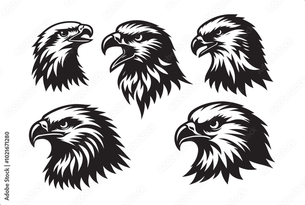 Fototapeta premium Hawks in Flight Stunning Vector Art Set Predatory Elegance A Hawk Illustration Collection