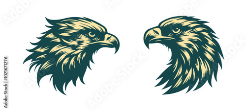 Hawks in Flight Stunning Vector Art Set
Predatory Elegance  A Hawk Illustration Collection