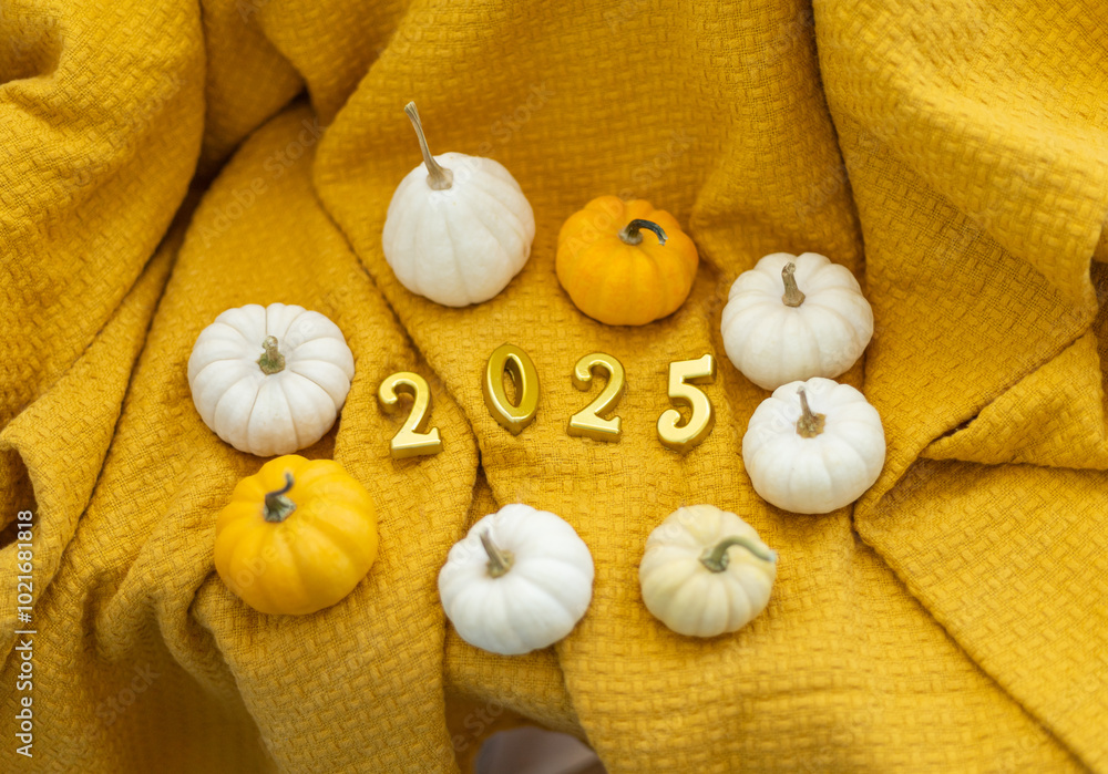 autumn concept, pumpkins on yellow blanket, 2025 year autumn concept, pumpkins on yellow blanket, 2025 year