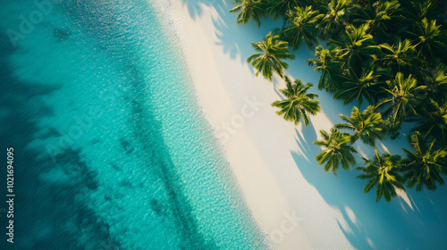  Aerial landscape of a tropical beach with white sand, turquoise ocean and green palm trees