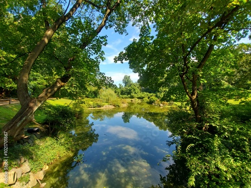 lake in the forest