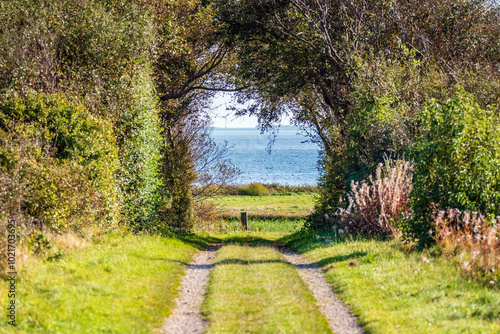 Tunnel durch Windflüchter