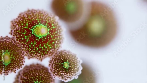 Stunning 3D Molecule Reaction Background Video for Engaging Visuals