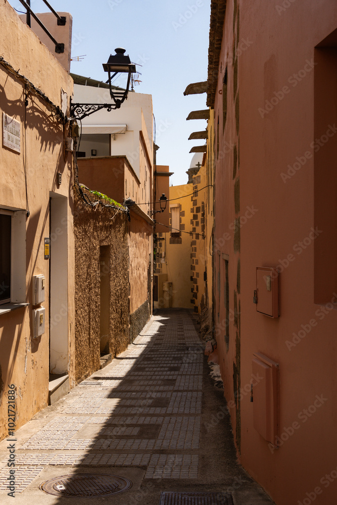 Fototapeta premium Charming Narrow Alley in Sunlit Mediterranean Village