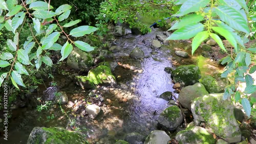 Flowing tropical river stream in jungle forest in Costa Rica. Flowing tropical river stream in jungle forest in Costa Rica.
