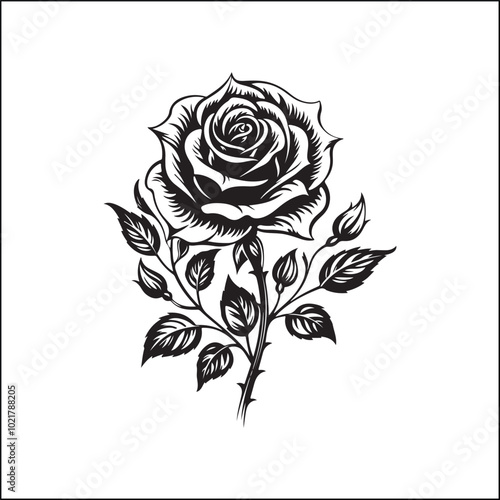 black and white roses,flower, floral, rose, vector, vintage, pattern, illustration, leaf, design, nature, decoration, flowers, plant, drawing, art, ornament, seamless, sketch, wedding, element, roses,