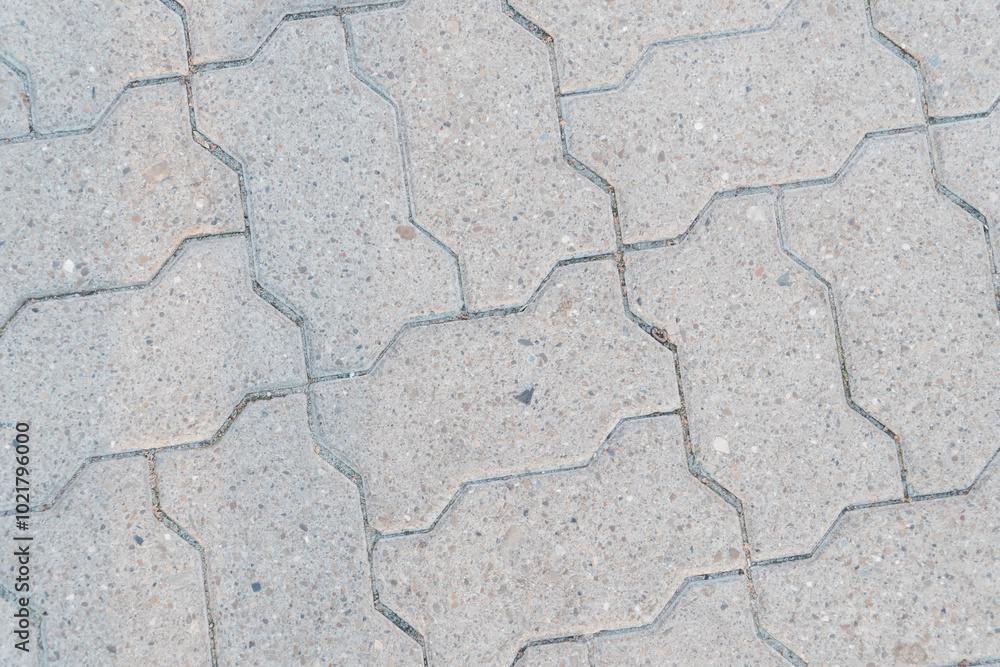 Obraz premium Elegant Cobblestone Pattern with Subtle Textures and Earthy Tones