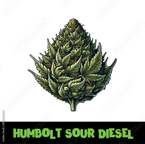 Vector Illustrated Humbolt Sour Diesel Cannabis Bud Strain Cartoon