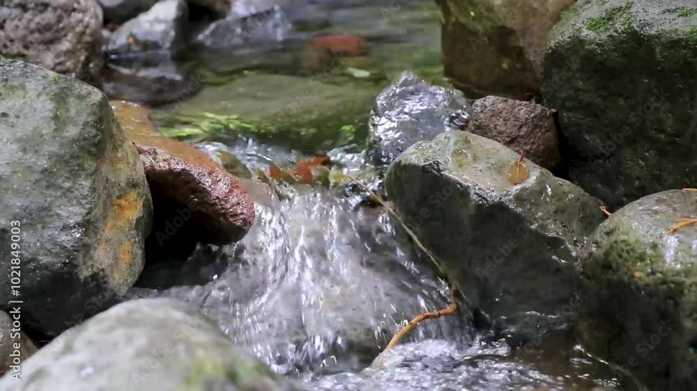Flowing tropical river stream in jungle forest in Costa Rica. Flowing tropical river stream in jungle forest in Costa Rica.