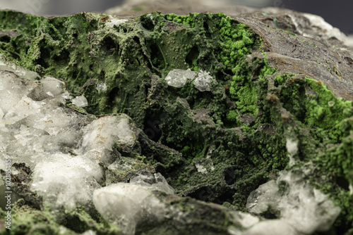 Macro shot revealing the intricate details of a green mineral encrusted with white crystals, highlighting the contrast and textures of natural formations photo