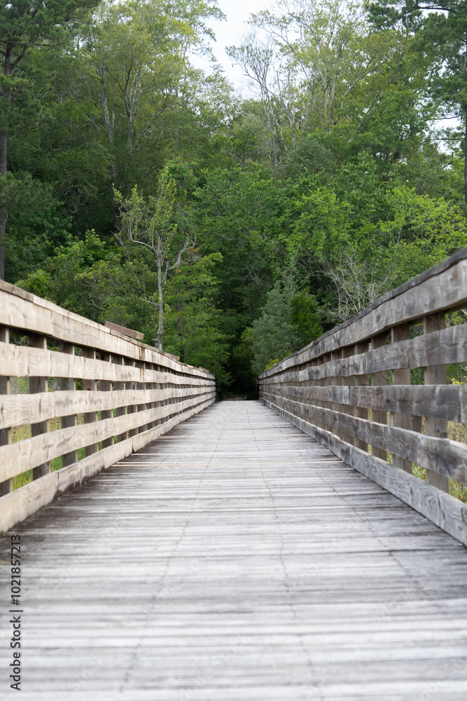 Obraz premium wooden pathway bridge trail