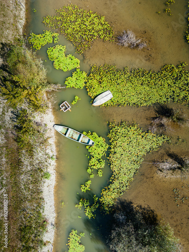 Top down aerial view of Oresje lake, Croatia, covered in dense water vegetation of lillies with fishing boats anchored by the shore