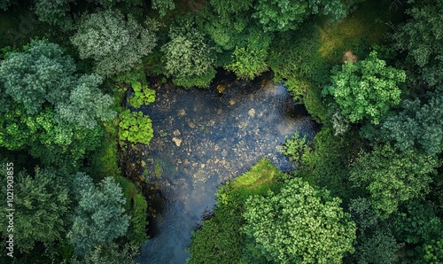 Overgrown mineralized river landscape, drone image