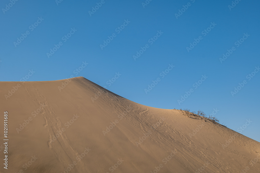 Abstract Dune with a Small Dry Bush Against Blue Sky in a Large Desert by Huacachina in Ica, Peru at Sunset