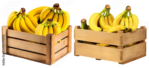 Close Up Front View To a Set Of Fresh Yellow Bananas PNG  in a Wooden Box isolated on white and transparent background - Box of Ripe bananas crate tropical Fruit packaging photo