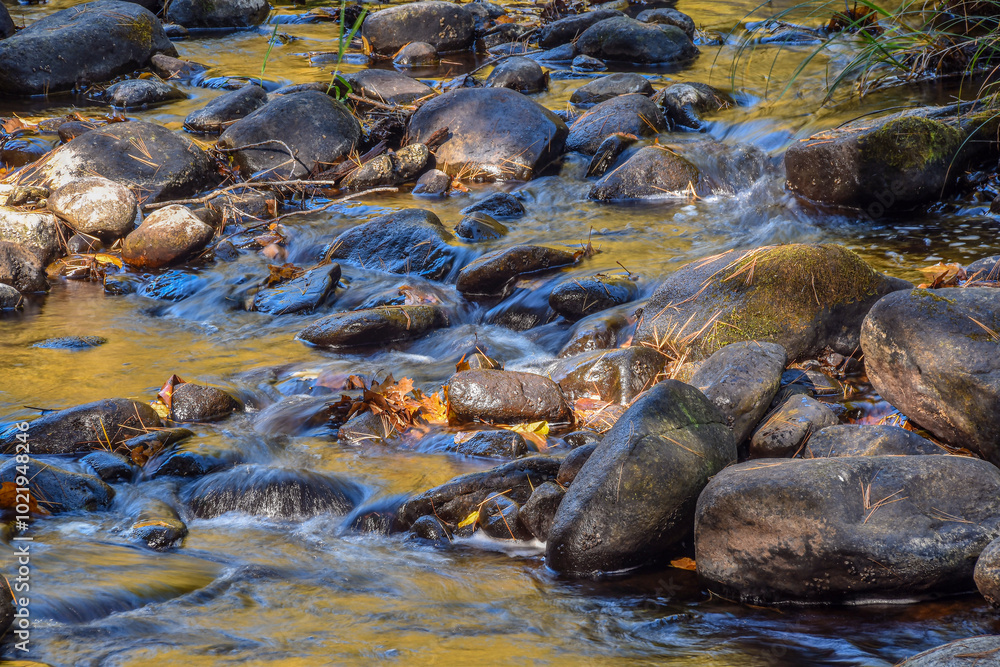 the quinapoxet river flowing through the wilderness the quinapoxet river flowing through the wilderness