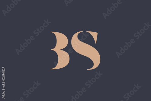 Abstract letter BS logo. This logo icon incorporate with abstract shape in the creative way. 