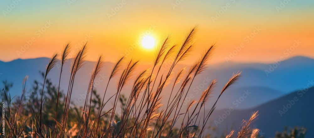 A beautiful sunrise over the mountains, with tall grass in the foreground, close-up, blurred background, warm colors, an orange and yellow sky Generative AI A beautiful sunrise over the mountains, with tall grass in the foreground, close-up, blurred background, warm colors, an orange and yellow sky Generative AI