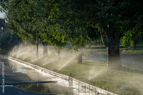 A lawn irrigation system is actively watering a vibrant green lawn under the morning sun. Sprinklers release a fine mist amidst tall trees, enhancing the lush landscape
