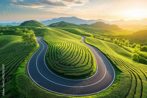 Beautiful road through the green tea plantation in the mountains