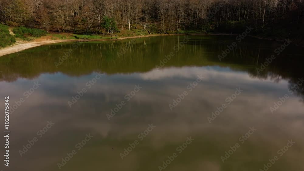 Lake In The Mountains With Forest Nature Trees Lake In The Mountains With Forest Nature Trees