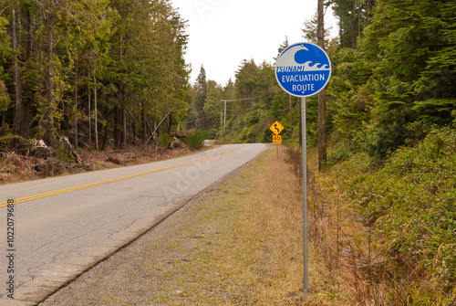 Tsunami Evacuation Route Sign over green forest background