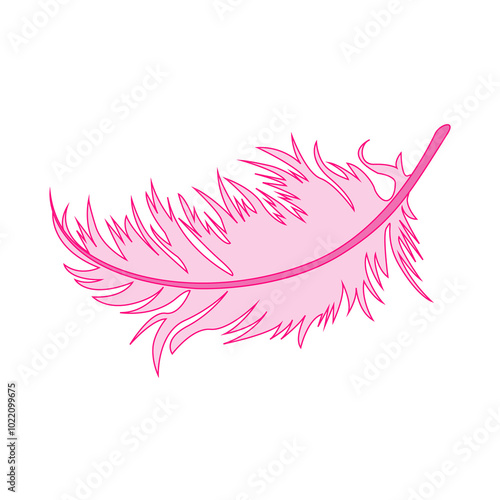Feather illustration PNG 