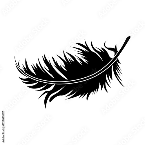 Feather illustration PNG 