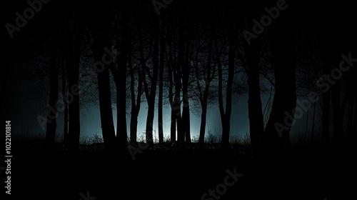 A Beautiful Scene of Nature Captured at Night in the Deep Woods, Enveloped in Pitch Black Darkness, Highlighting the Mystique and Serenity of the Forest Under the Night Sky